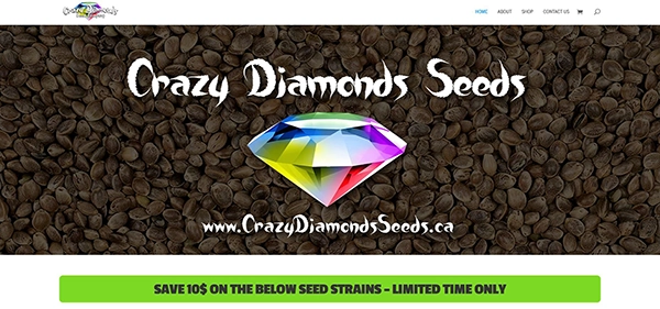 DIAMONDSSEEDS website designer