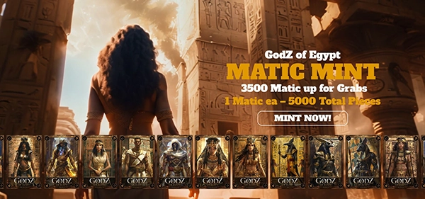 GOE blockchain developer