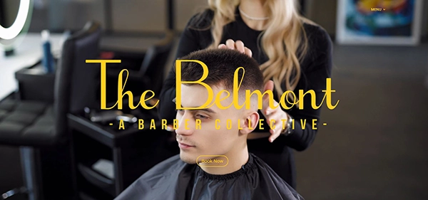 belmont website designer