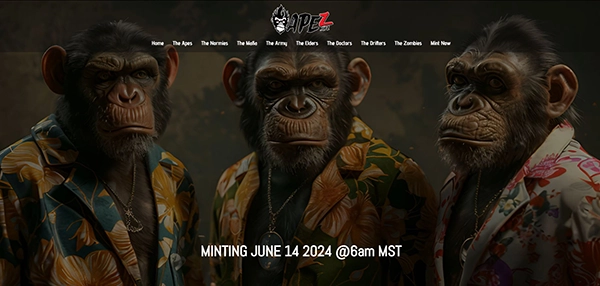 classicapez blockchain developer