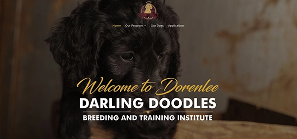 dorenleedoodles website designer