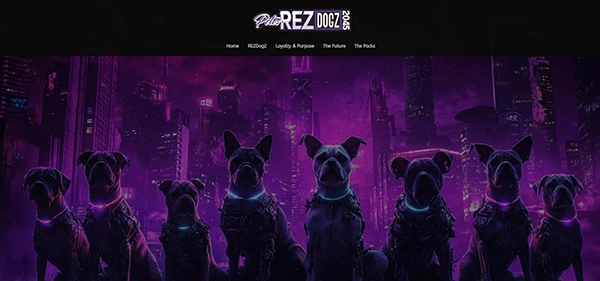 rezdogz blockchain developer